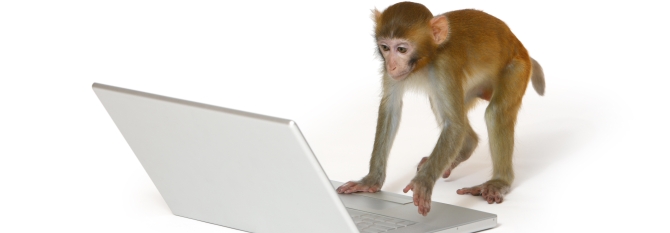 Survey Monkey Audience Marketing review