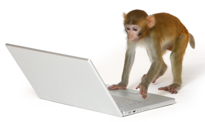 Survey Monkey audience Marketing Review